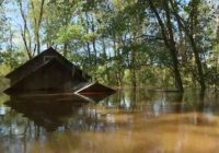 Boat journey reveals eye-popping Cape Fear flooding in Cedar Creek