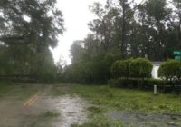 Ferry services resume nearly one week after Florence