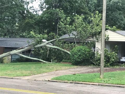 Cameron Village Hurricane Florence damage