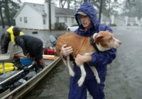 How to help those affected by Florence