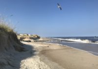 Florence runoff taints area waters, experts warn to stay out