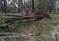PHOTOS: Florence Flooding &amp; Damage, Sunday, Sept. 16