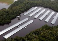 Florence’s flooding claims 3.4 million poultry, 5,500 hogs