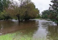 Universities Announce Plans To Resume Classes, Reopen Campuses After Florence