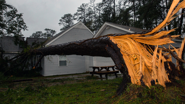 A tree collapsed on the Paradise Point houses during Hurricane Florence on Marine Corps Base Camp Lejeune, N.C., Sept. 15, 2018. (Photo courtesy of U.S. Marine Corps/Lance Cpl. Isaiah Gomez)