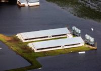 More NC hog lagoons are breached and overflowing as Florence flood waters rise