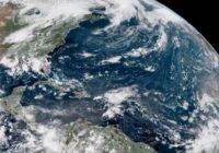 Watch Florence from its start to finish — in one minute