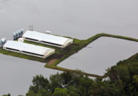 Flooding isn’t the only threat posed by the Waccamaw River. What’s in the water?