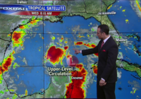 Tropical Low on track to bring heavy coastal rain