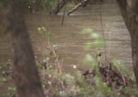 Cumberland County breathes sigh of relief after Tropical Storm Michael