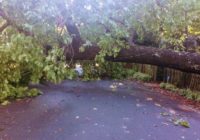 Storm Damage Still Affecting City Streets And Transit