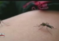 Mosquito spray in Chesterfield Co. after Florence