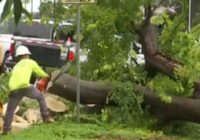 Storm brings damage to Austin area