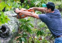 More than 400,000 in Carolinas still without power after Tropical Storm Michael