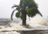 Storm chasers flee truck in flood during hurricane