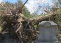 Florence cleanup may cause delays to funerals at Wilmington cemetery