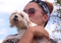 VIDEO: Dog survives Florence flooding by floating on sofa for a week