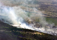 News Roundup: Texas Firefighters Will Help Put Out California Wildfires