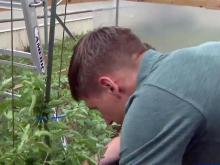 Program at Fort Bragg helps soldiers learn about farming
