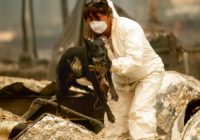 California town’s wildfire evacuation plan raises questions