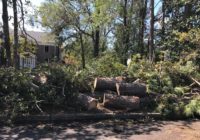 Wilmington approves additional Florence funds