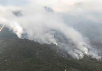 Northeast Australia faces unprecedented wildfire danger