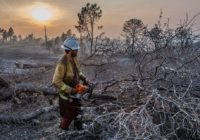 Climate change could triple the frequency of large wildfires, says new federal report