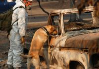 The Latest: Sheriff: Wildfire death toll rises to 83