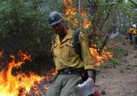 As wildfires grow deadlier, officials search for solutions