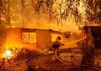North Texas Firefighters Sacrifice Thanksgiving At Home To Aid In Deadly California Wildfires