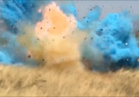 Here’s how a gender reveal party stunt ignited a massive Arizona wildfire