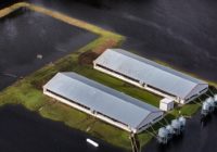 More frequent NC hurricanes are on the way. Here’s how we can get ready.