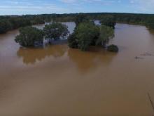 Pictures from GoFundMe Hurrican Florence campaigns