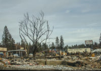 News Roundup: Texas A&M Teams Return From Helping With Animal Recovery After California Wildfire