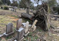 Bellevue Cemetery volunteers after Florence: 'We need help'