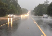 $37K to clear three trees after Hurricane Michael? An NC judge just shut down the company.