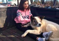 Dog reunited with family 101 days after California wildfire