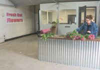 Busy Valentine’s is a blessing for this farm hit hard by Hurricane Florence