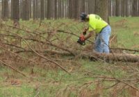 Florence destroys Pender County farm, help comes from across country