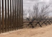 Critics Say Border Wall Could Harm Wildlife Corridors And Sensitive Desert Terrain