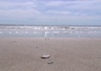 Watch: A look at the 'Crystal Coast' 6 months after Hurricane Florence