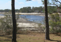 Boiling Spring Lakes: Only 40% of recovery completed since historic hurricane