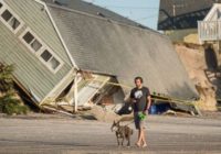 Bill would make it illegal to abandon tied-up dogs during hurricanes