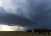 News Roundup: Tornadoes Strike Central And East Over The Weekend, Causing Casualties.