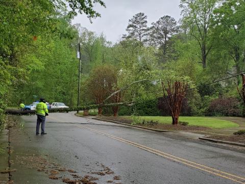 Tree down in Raleigh at White Oak Road and East Lake Drive