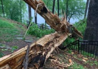 8 tornadoes happened in central North Carolina during Friday's severe weather outbreak