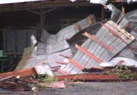 Maple View Farm owner believes tornado destroyed 2 barns, injured cow