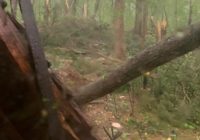 The Latest: All tornado watches for the Triangle cancelled as storm exits the region