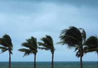 What is a hurricane? Tropical storm terms explained