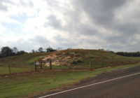 Tornado Devastates Caddo Mounds Historic Site, Leaving The Mounds Undamaged.